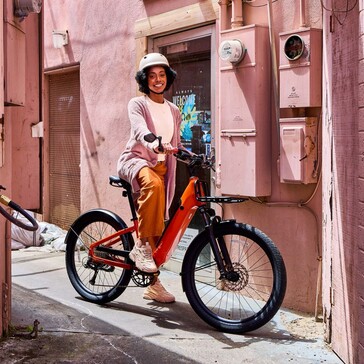 La e-bike Momentum Vida E+ puede soportar una carga útil máxima de hasta 136 kg (300 lbs) (Fuente de la imagen: Momentum)