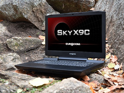 En resumen: Eurocom Sky X9C. Modelo de prueba proporcionado por Eurocom