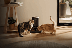Comedero inteligente para mascotas Petlibro. Algunas unidades no pueden dispensar comida debido al corte de suministro.