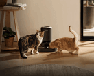 Comedero inteligente para mascotas Petlibro. Algunas unidades no pueden dispensar comida debido al corte de suministro.