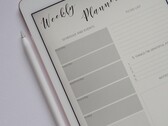 Se rumorea que el iPad 9 se lanzará más o menos al mismo tiempo que el próximo iPad Pro. (Fuente de la imagen: Jess Bailey)