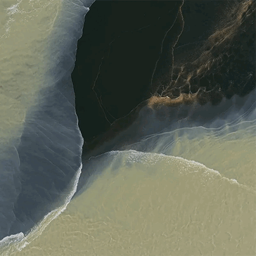 Una filtración temprana del fondo de pantalla del Pixel 11 Pro Fold que muestra su aspecto Pine, Tidal Swirl