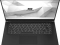 Schenker pronto podría añadir opciones de visualización OLED en los portátiles basados en AMD. (Fuente de la imagen: Schenker)