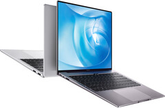 El MateBook 13 2020 y el MateBook 14 2020 vienen con APU Renoir 45 W. (Fuente de la imagen: Huawei)