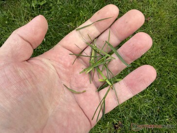 ...de lo que esperábamos de la anunciada función de mulching.