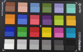 ColorChecker: La mitad inferior de cada campo muestra el color de referencia