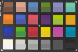 ColorChecker: La mitad inferior de cada caja representa el color original.
