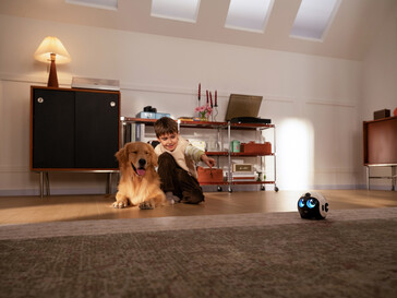 Mascota de compañía 