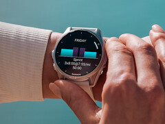 La resolución de Garmin para su &quot;triángulo de la muerte&quot; no está exenta de inconvenientes. (Fuente de la imagen: Garmin)