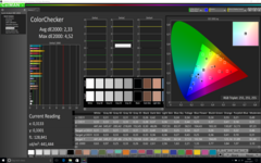 CalMAN ColorChecker (calibrada)