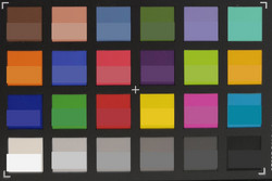 ColorChecker Passport: color objetivo mostrado en la mitad inferior de cada campo.