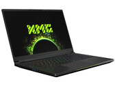 Review de Schenker XMG Fusion 15: El diseño de referencia de Intel desafía a la competencia
