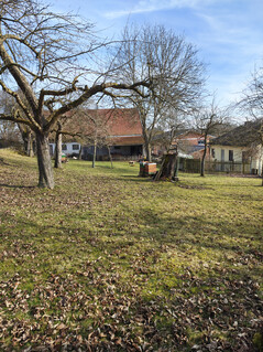 Cámara principal (sin zoom)