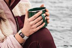 Fitbit ha desplegado nuevas esferas de reloj para el Charge 5 y el Luxe, anterior en la imagen. (Fuente de la imagen: Fitbit)