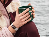 Fitbit ha desplegado nuevas esferas de reloj para el Charge 5 y el Luxe, anterior en la imagen. (Fuente de la imagen: Fitbit)