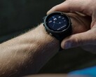 El smartwatch Garmin Forerunner 255 recibe la beta 15.18. (Fuente de la imagen: Garmin)