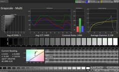 CalMAN Escala de grises