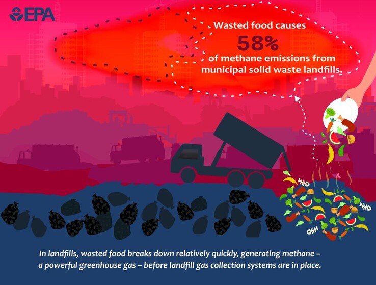 Los residuos alimentarios en los vertederos son la principal fuente de emisiones de metano que contribuyen al calentamiento global. (Fuente de la imagen: EPA)