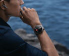 Huawei ha lanzado la versión de software 4.0.0.219 para el Watch 4 Pro. (Fuente de la imagen: Huawei)