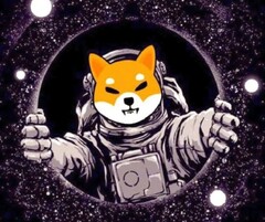 Shiba Inu ahora es compatible con más comerciantes (Fuente: Steamindia)