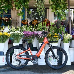La e-bike Momentum Vida E+ ofrece una autonomía total de 55 millas (88,5 km) con una sola carga (Fuente de la imagen: Momentum)