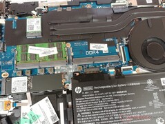 HP ProBook 445 G7 - Ranura RAM libre