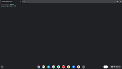 Entorno Linux bajo Chrome OS
