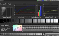 CalMAN Escala de grises
