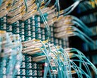 Cables de fibra óptica azules con conectores blancos enchufados a un panel de conexiones en un centro de datos