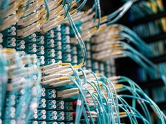 Cables de fibra óptica azules con conectores blancos enchufados a un panel de conexiones en un centro de datos