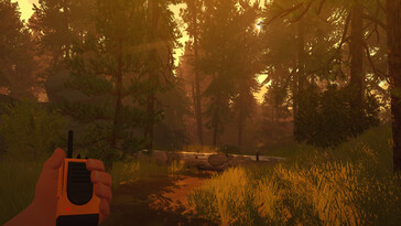 Una imagen que muestra un bosque en Firewatch.