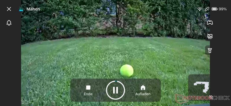 Detección de obstáculos (pelota de tenis) desde la perspectiva del robot cortacésped (vídeo en directo en la aplicación)