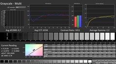 Calman: Escala de grises (calibrada)