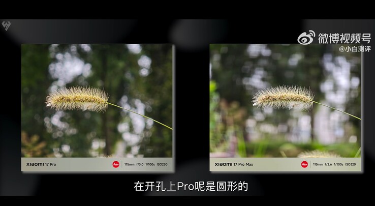 Xiaomi 17 Pro vs Xiaomi 17 Pro Max: Foto macro tomada con teleobjetivo 5x comparada