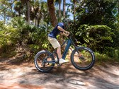 La e-bike Kingbull Rover 2.0 está propulsada por un motor Bafang de 750 W (Fuente de la imagen: Kingbull) 