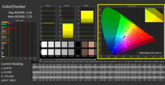 Calman Color Checker calibrado