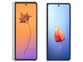 Una comparación del Galaxy Z Fold3 y el Galaxy Z Fold4. (Fuente de la imagen: @UniverseIce)
