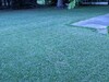 Buenos resultados aquí 
