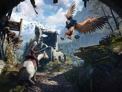 Imagen del juego The Witcher 3: Wild Hunt. (Fuente de la imagen: Steam)