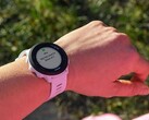 El Garmin Forerunner 55 (en la imagen) recibe una nueva actualización. (Fuente de la imagen: Garmin)