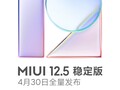 MIUI 12.5 debería empezar a llegar a algunos dispositivos a nivel global en el próximo mes aproximadamente. (Fuente de la imagen: Xiaomi)