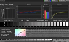 Escala de grises (perfil: Profesional, espacio de color de destino: sRGB)