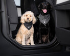 Pañuelo «Tesla Dog Mode»
