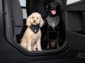 Pañuelo «Tesla Dog Mode»