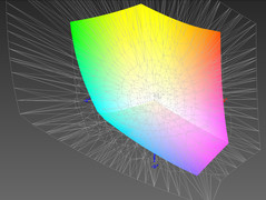 ProPhoto RGB: 40.62%