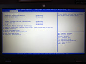 BIOS Advanced