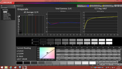 CalMAN - Gray Levels (calibrated)