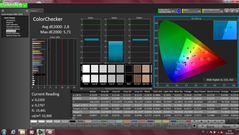 CalMAN - Color Checker (calibrated)