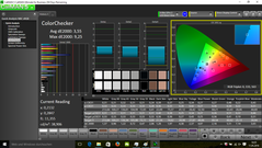 CalMAN - ColorChecker (after calibration)