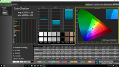 CalMAN - ColorChecker (calibrated)